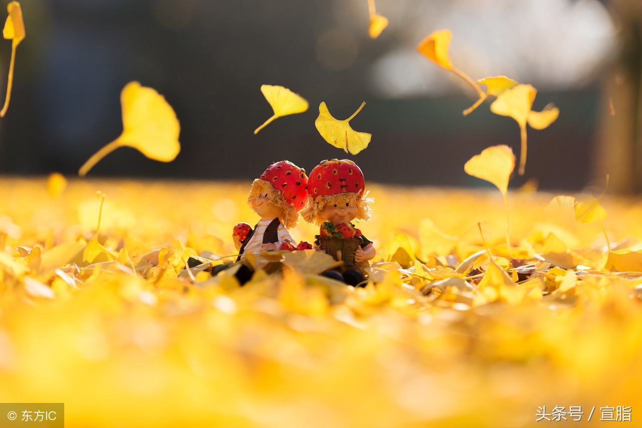 关于友谊的作文(关于友谊的作文800字)（关于友谊的作文（关于友谊的作文800字）文章) 