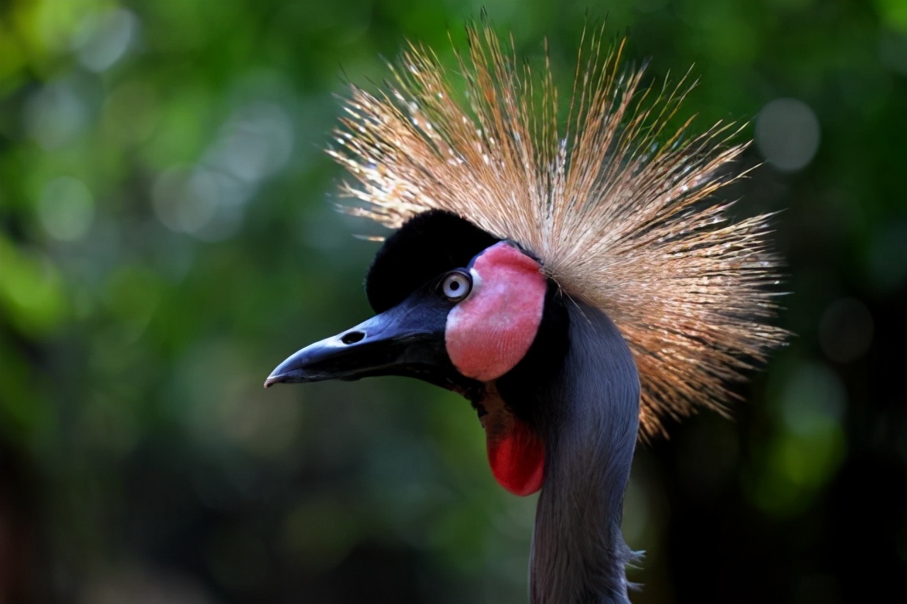 期末考试名校作文《校园趣事》,学霸范文帮你写出跌宕起伏的故事