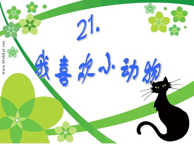 我喜欢的小动物二年级