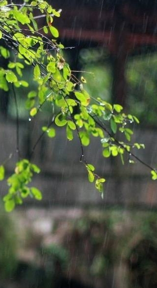 散文:秋天是一场盛宴,也是一种爱恋