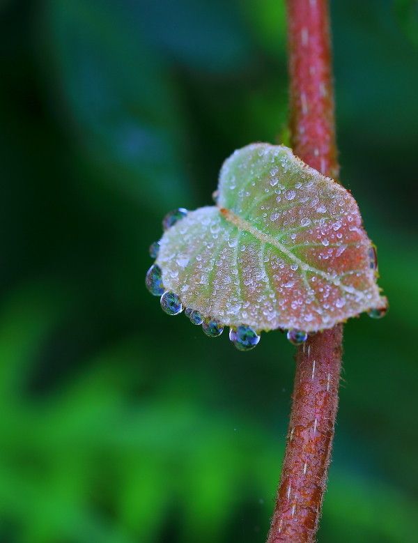 散文:秋天是一场盛宴,也是一种爱恋