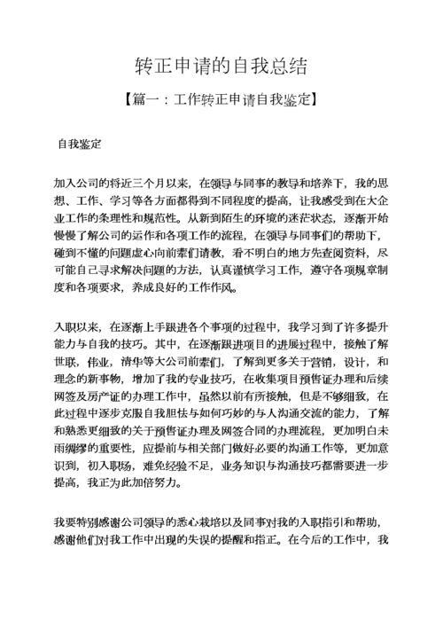 转正个人总结(入党转正个人总结)（转正个人小结（入党转正个人小结）文章)