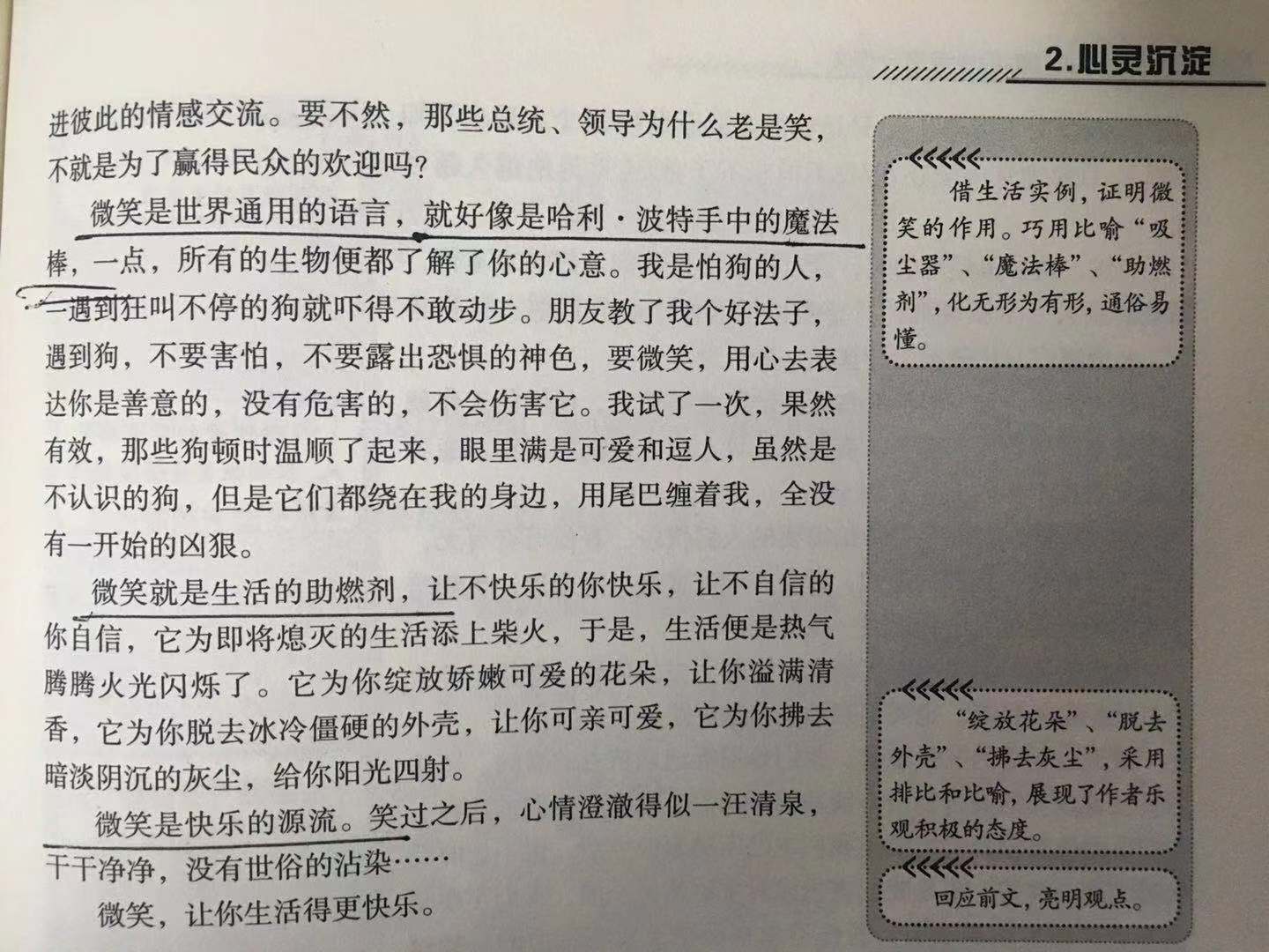 《文艺心理学》：揭开比喻背后的真相，轻松打造满分作文