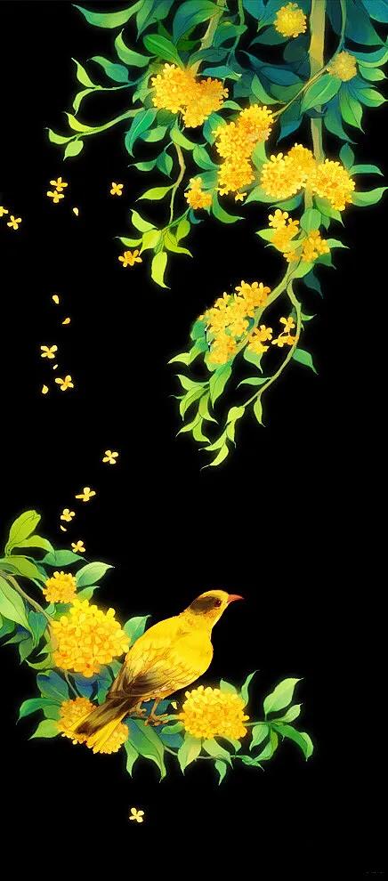 几度秋意浓,最是桂花香