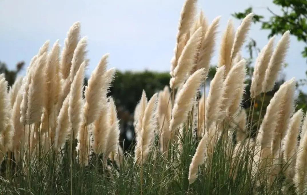 2022?’??13??o???¨?????–????¢|??3???é?£é¢—?…§?o???‘?????μ????????ˉ???|??????-????a???o