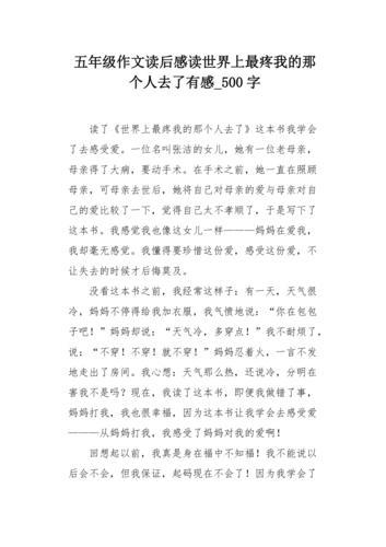 最懂我的那个人作文600字
