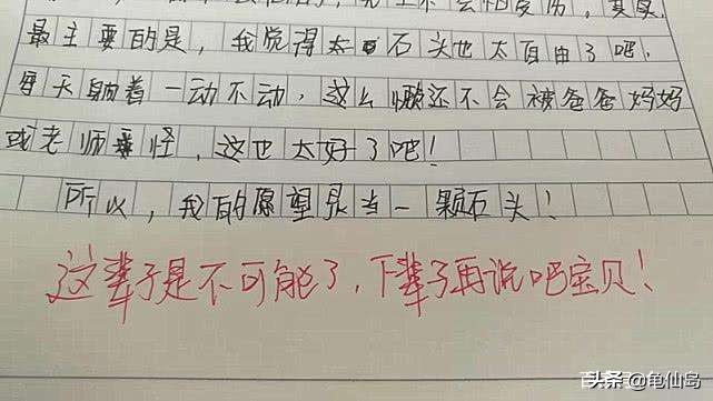 小学作文:我的理想,不再是当教师医生,而是当石头,当鸡屎