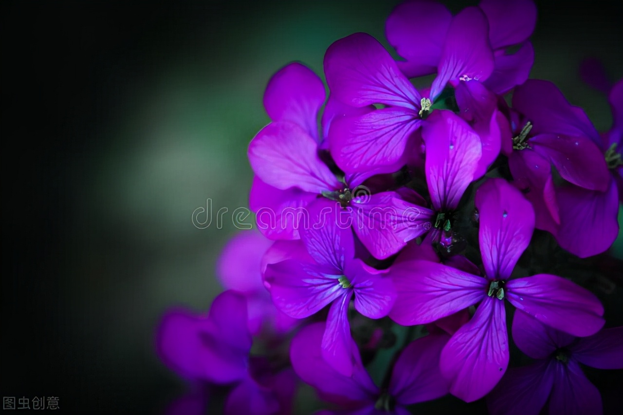 学生考场作文:《诚信之美》(秦越)