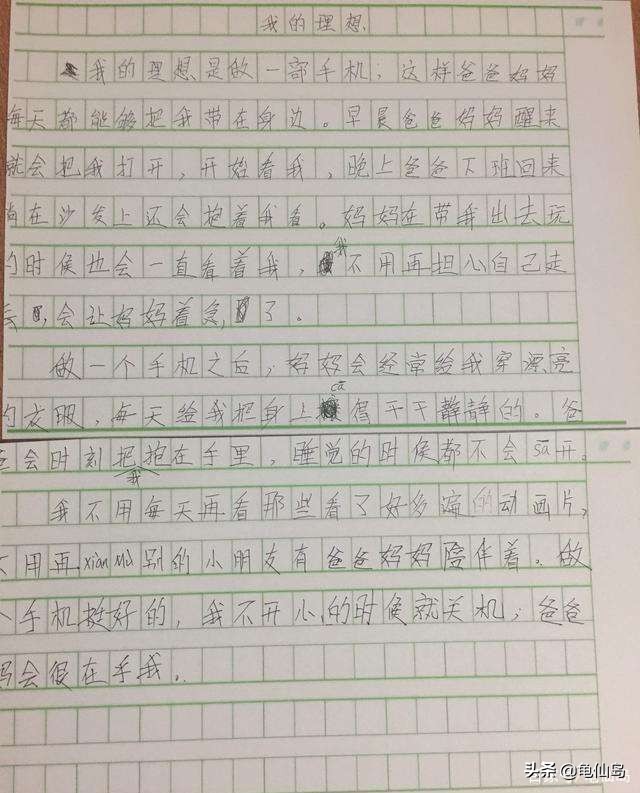 小学作文:我的理想,不再是当教师医生,而是当石头,当鸡屎