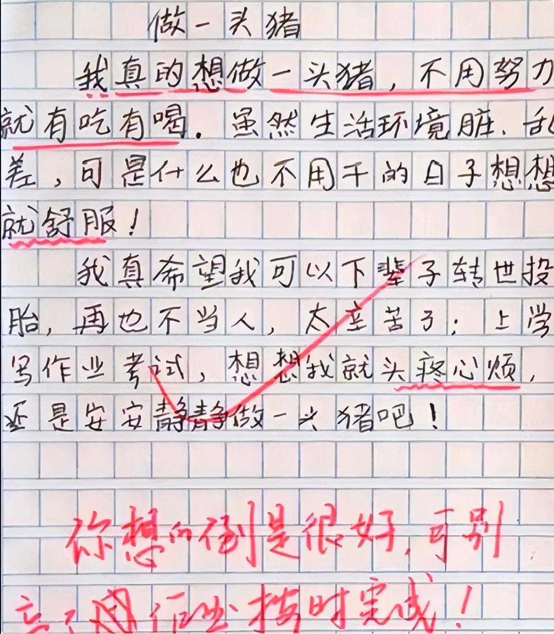 小学生作文《我的理想》,脑回路清奇,老师:希望你不要来真的