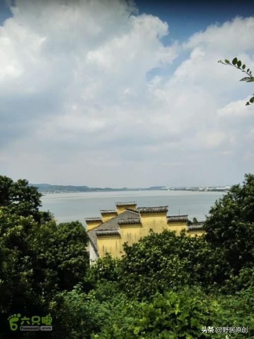 原创抒情散文《杜湖,愿你流入我的心中》