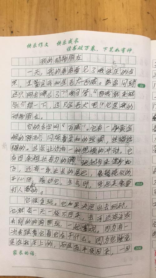 我的动物朋友四年级(我的动物朋友四年级400字小猫)（我的动物朋友4年级（我的动物朋友4年级400字小猫）文章)