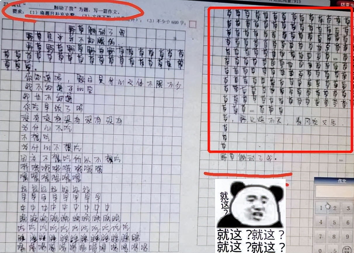 期中考试0分作文走红，好不容易凑齐600字，阅卷老师还是一分没给