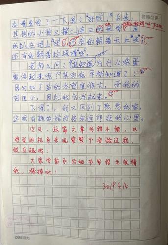 鸡蛋浮起来了作文(鸡蛋浮起来了作文100字三年级)（鸡蛋漂浮作文（三年级鸡蛋漂浮作文100字）文章)