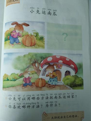 小兔运南瓜看图写话