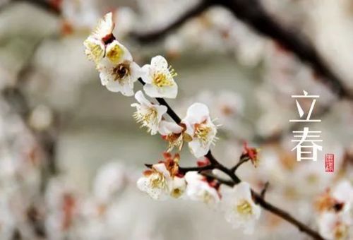 今夜偏知春气暖