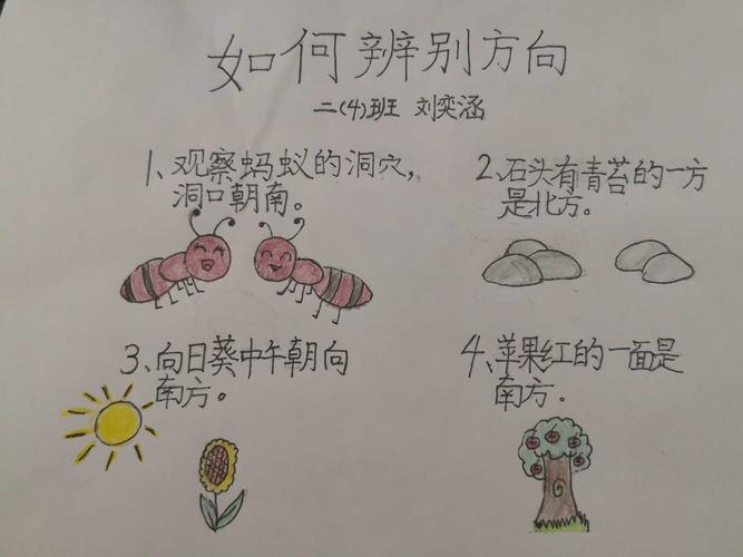 大自然的指南针