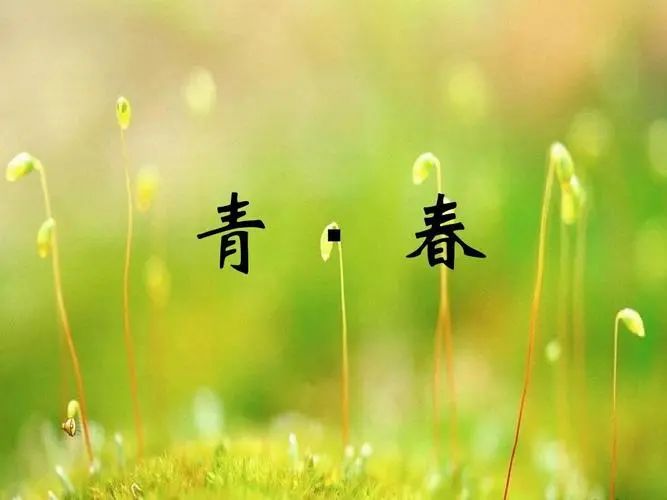 有关青春的作文(有关青春的作文)（关于青春的作文（关于青春的作文）文章) 