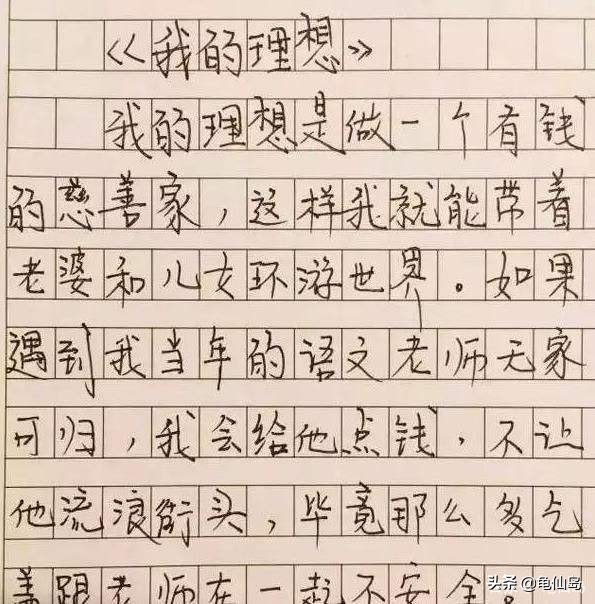 小学作文:我的理想,不再是当教师医生,而是当石头,当鸡屎