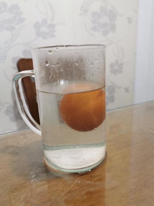 鸡蛋浮起来的实验(鸡蛋浮起来的实验作文300字三年级)（鸡蛋浮起来的实验（三年级一篇关于鸡蛋浮起来的实验的300字作文）文章)