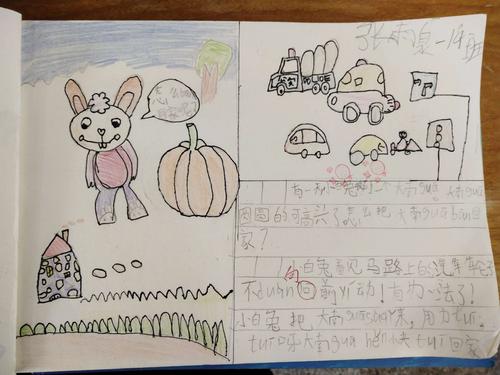 小兔运南瓜看图写话(小兔运南瓜看图写话二年级150字)（小兔子运南瓜 看图写写（二年级150字）文章)