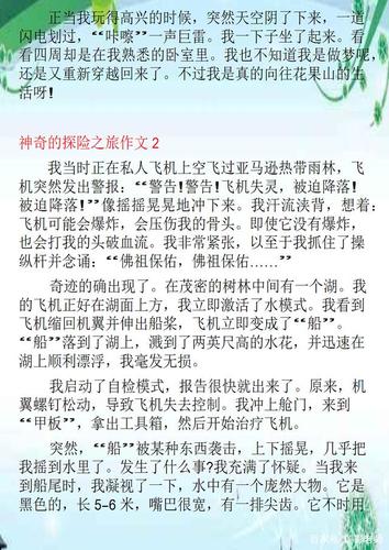神奇的探险之旅的作文