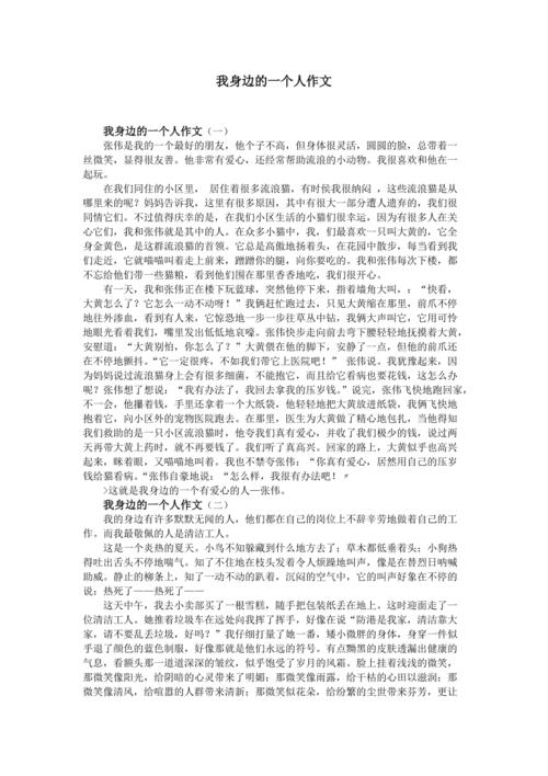 一个什么的人作文