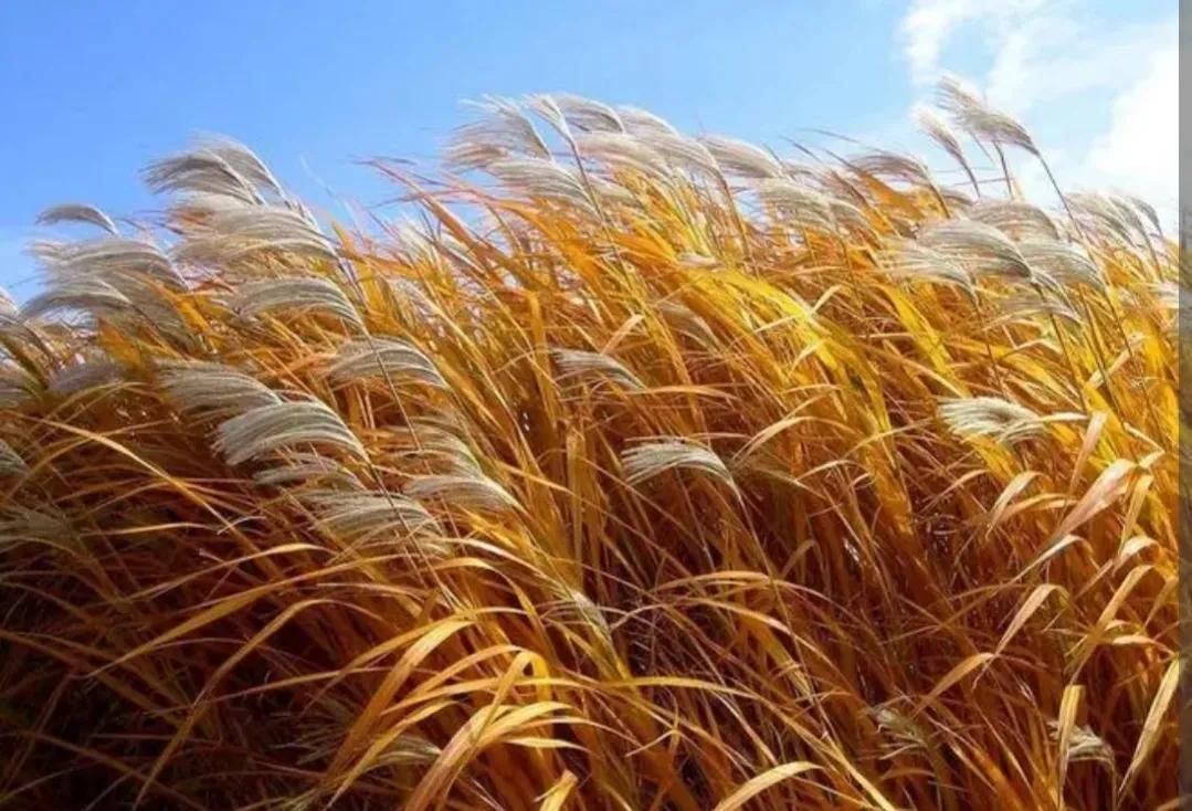 2022?’??13??o???¨?????–????¢|??3???é?£é¢—?…§?o???‘?????μ????????ˉ???|??????-????a???o