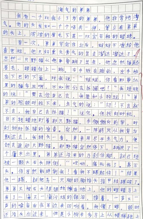 形形色色的人的作文