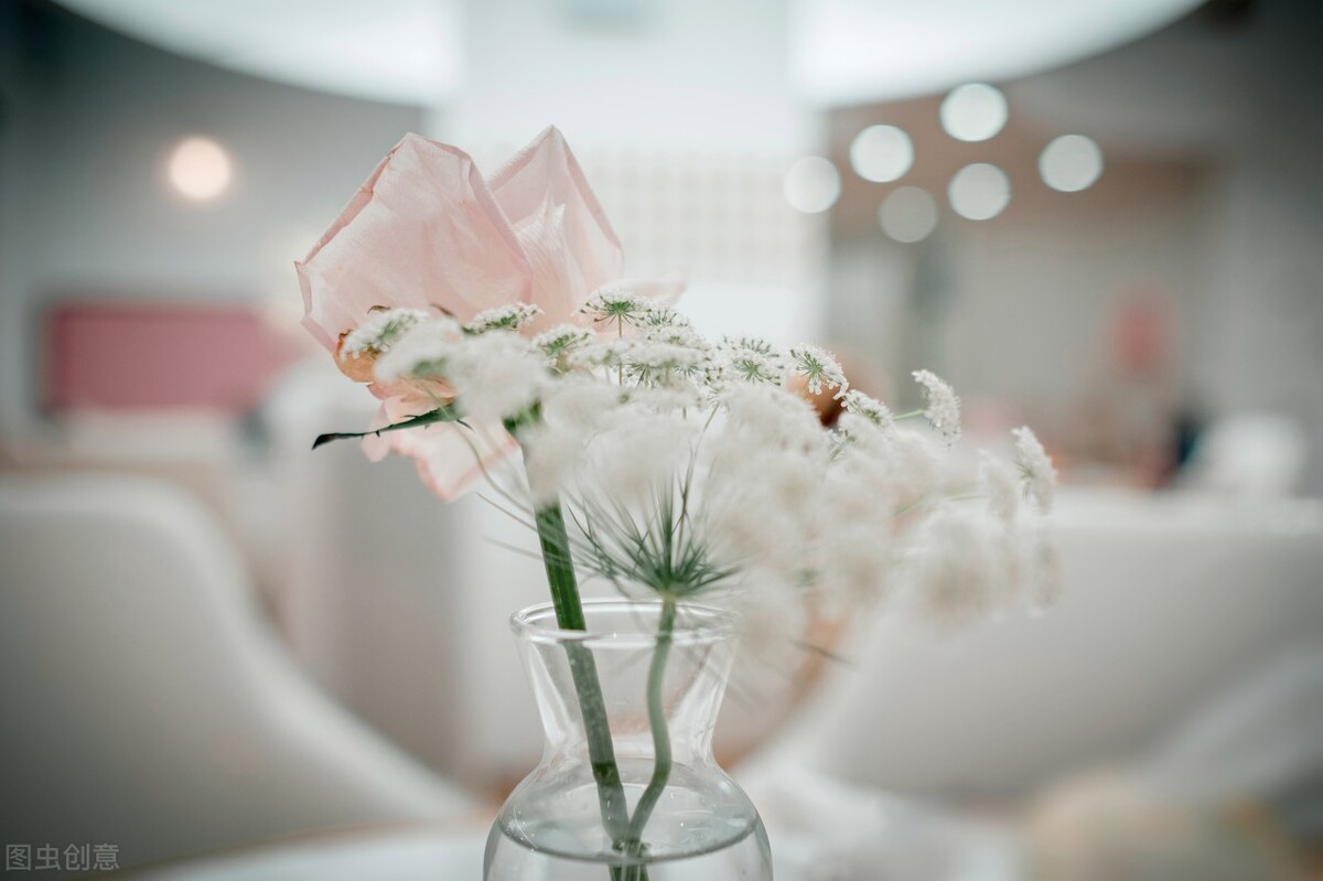 温暖作文(温暖作文600字初中)（温馨作文（初中温馨作文600字）文章) 