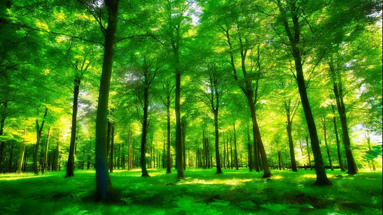 描写夏天的优秀作文两篇：春从花上去，夏木已成阴，值得收藏