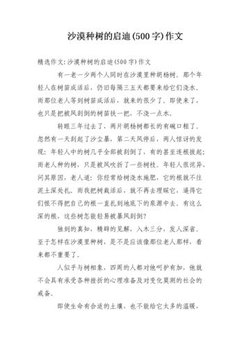 沙漠历险记作文500字