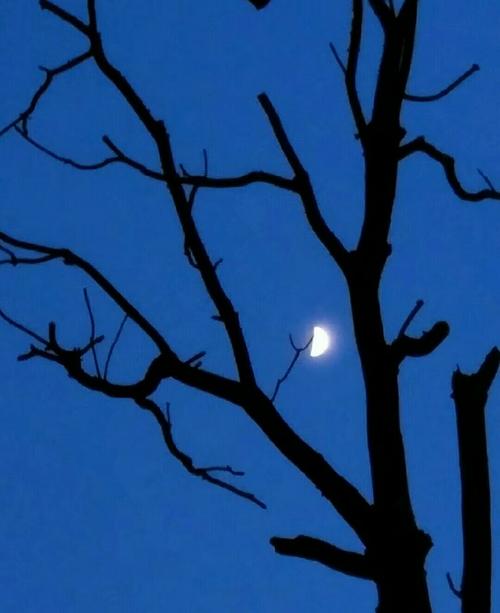 今夜偏知春气暖(今夜偏知春气暖虫声新透绿窗纱全诗)（今夜我懂得了春风的温暖（今夜我懂得了春风的温暖）文章) 