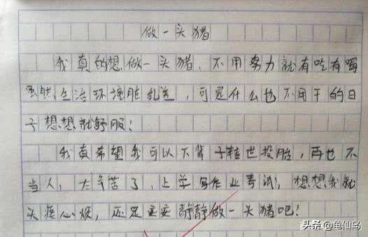 小学作文:我的理想,不再是当教师医生,而是当石头,当鸡屎