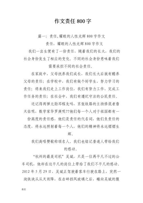 担起这份责任作文800字