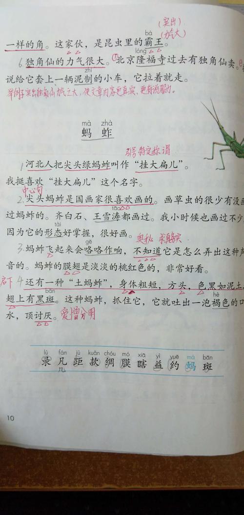 昆虫备忘录仿写(昆虫备忘录仿写一种昆虫)（昆虫备忘录写（昆虫备忘录写昆虫）文章)