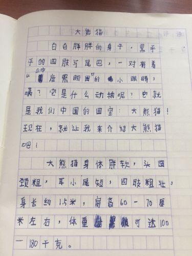 写熊猫的作文(写熊猫的作文英语)（关于熊猫的写（写熊猫的作文作文）文章)