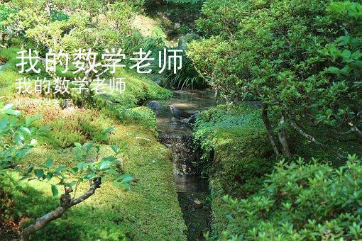 我的数学老师