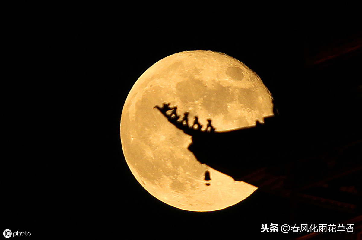 又是一年佳节至,送上作文素材:关于中秋的好词、好句以及好段