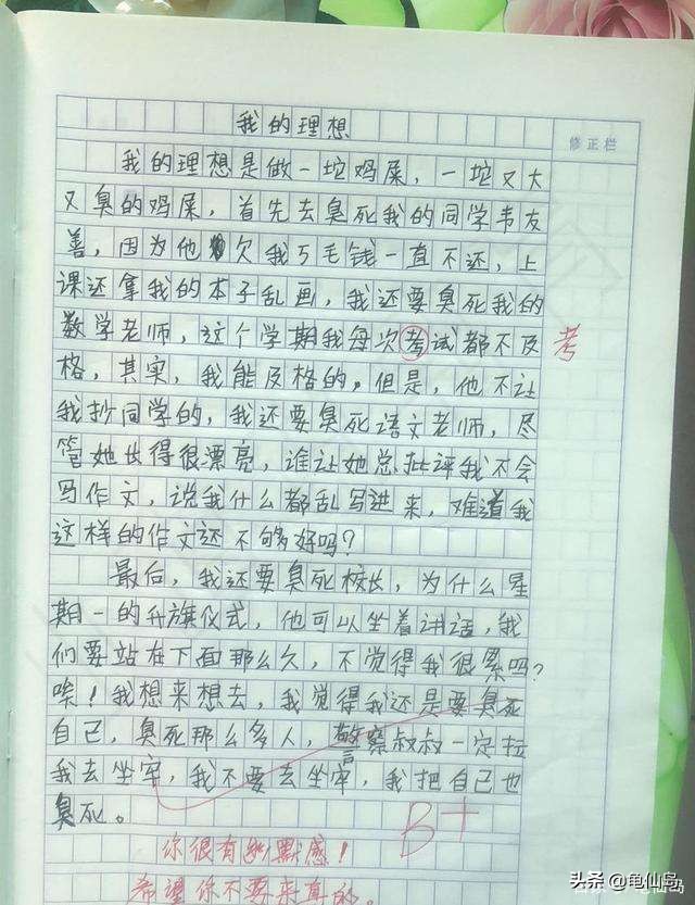 小学作文:我的理想,不再是当教师医生,而是当石头,当鸡屎