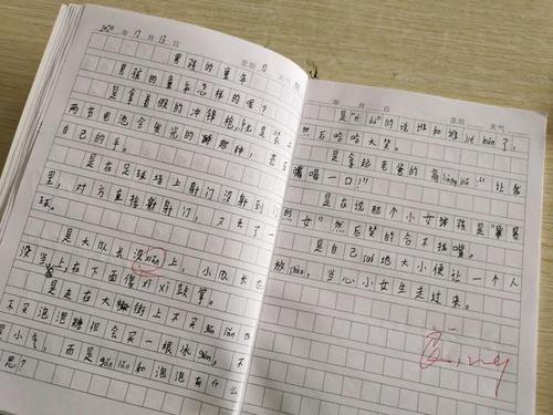 他一一了作文300