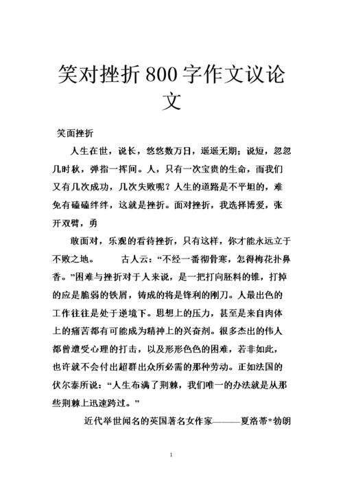 议论文范文800字