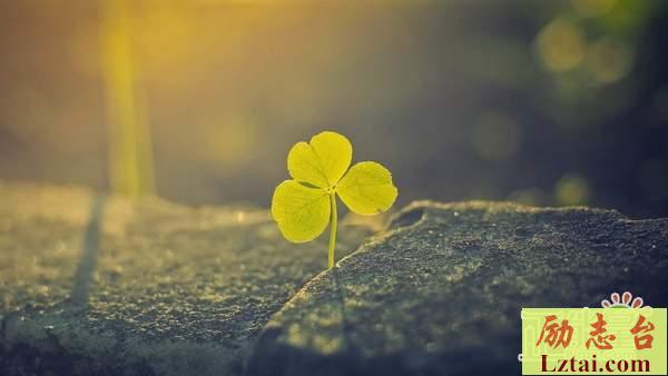 生活需要微笑(生活需要微笑满分作文)（生活需要微笑（生活需要微笑，满分作文）文章) 