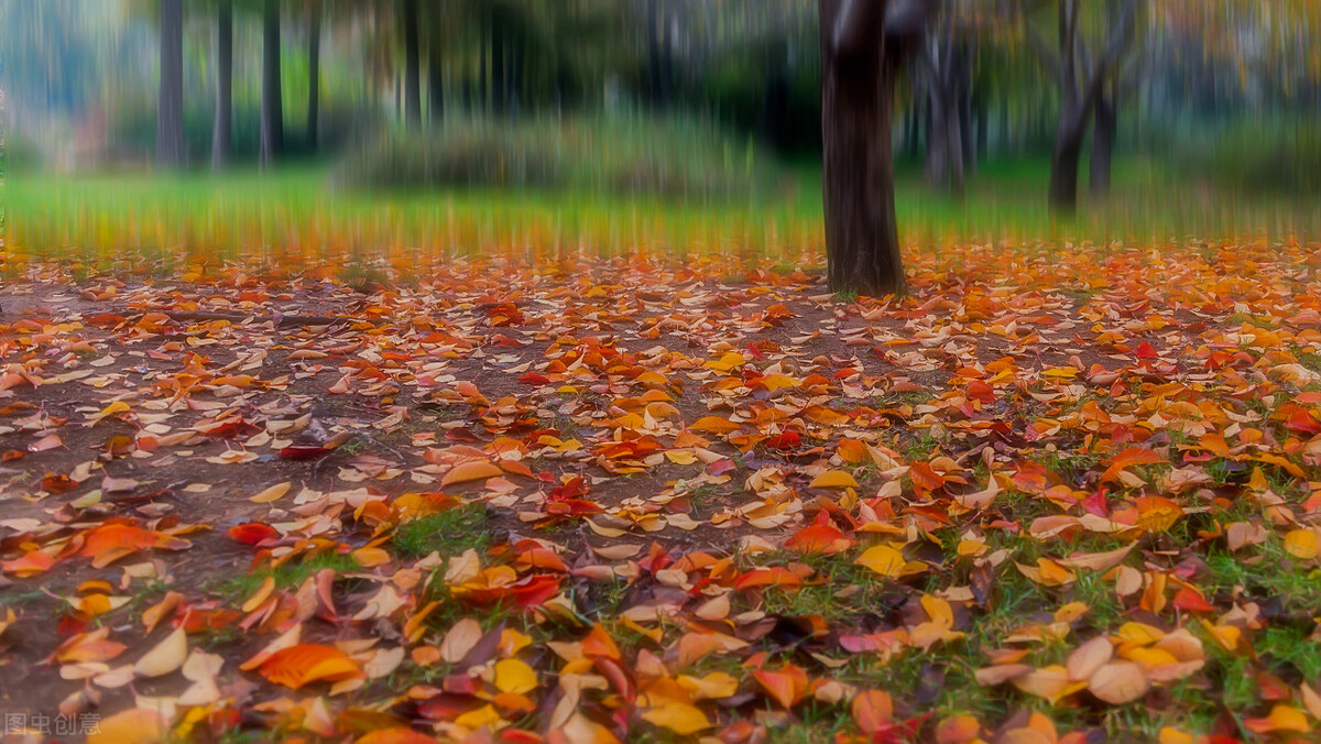 中小学生描写秋天作文的开头和结尾,建议家长老师为孩子们收藏