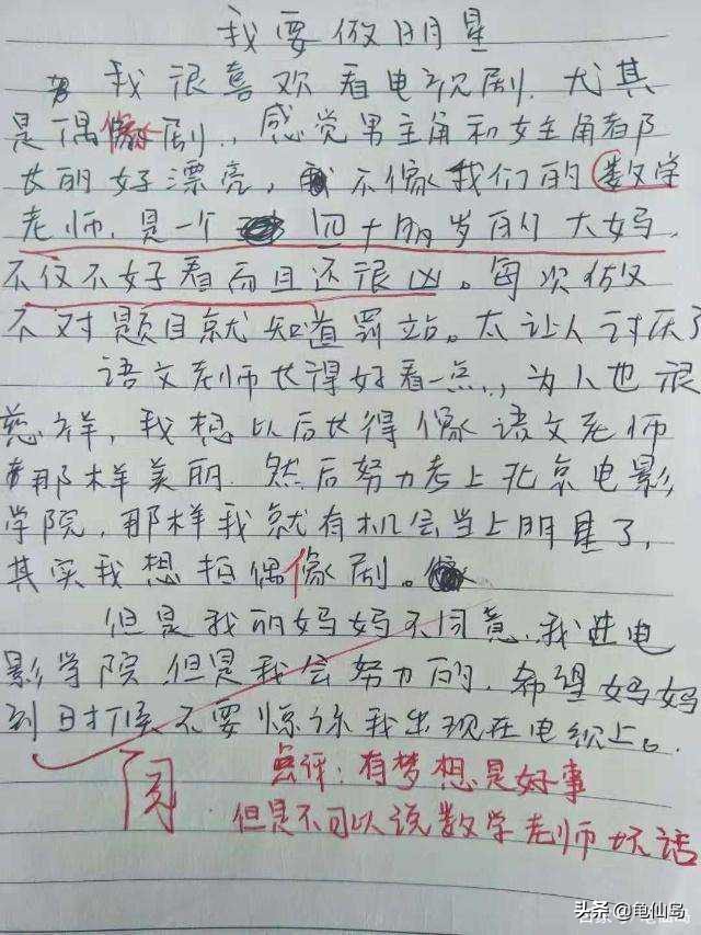 小学作文:我的理想,不再是当教师医生,而是当石头,当鸡屎