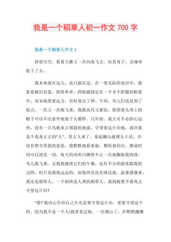 一个什么的人作文