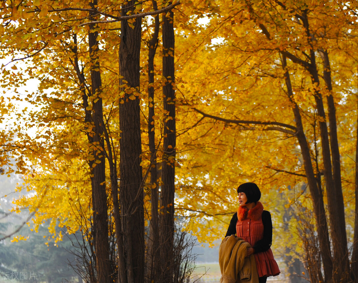 中小学生描写秋天作文的开头和结尾,建议家长老师为孩子们收藏