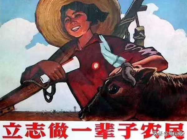 小学作文:我的理想,不再是当教师医生,而是当石头,当鸡屎