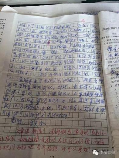 真了不起作文(真了不起作文开头)（多么精彩的作文（精彩作文的开头）文章)