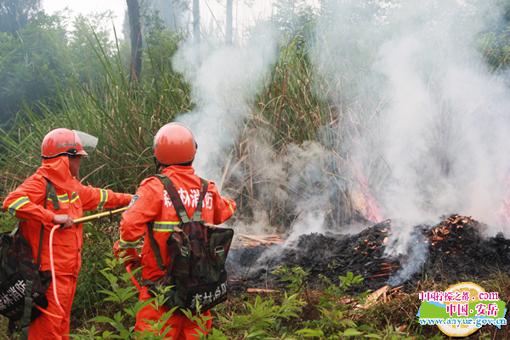 森林火灾的报警电话是